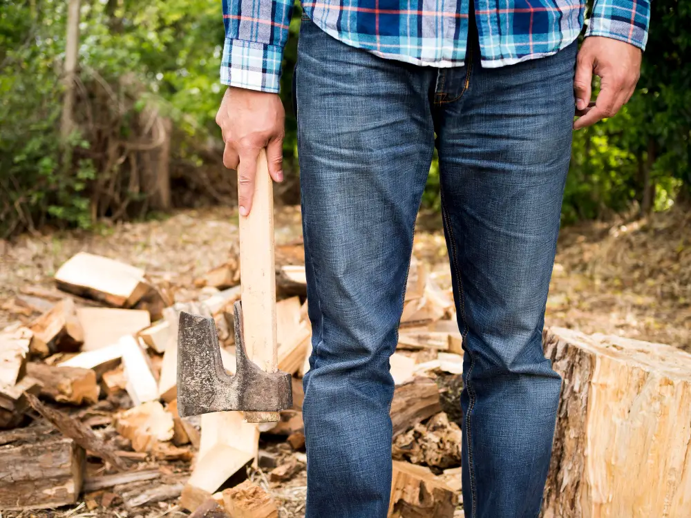 How Much Does Stump Grinding Cost in Spring Hill A Realistic Price Guide