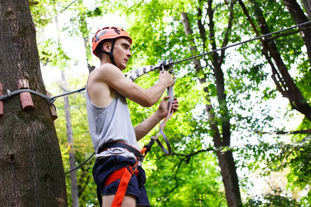 Tree Cabling and Bracing