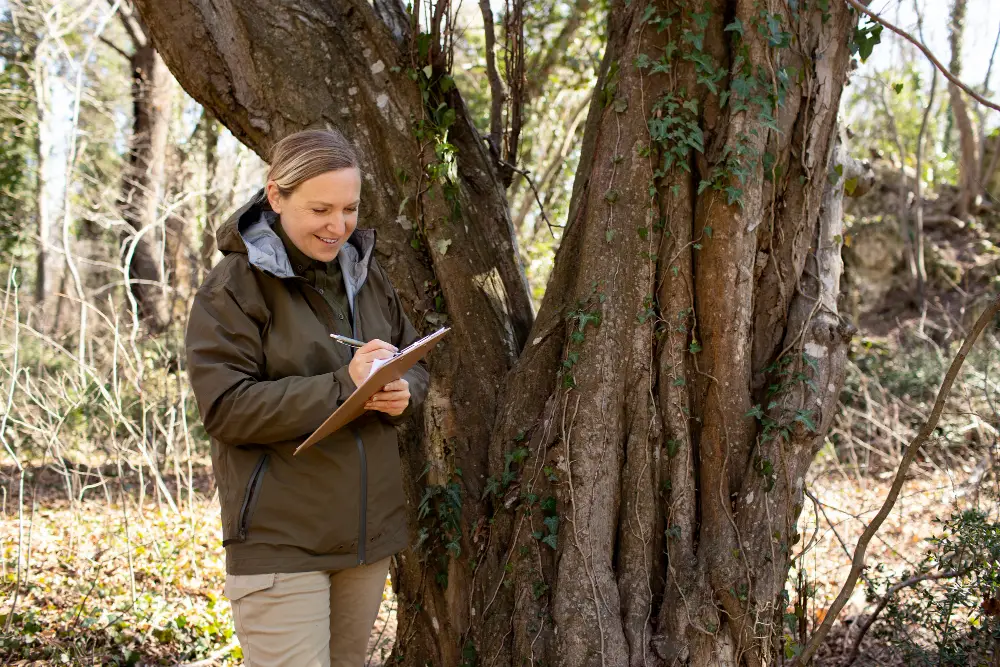 Tree Health Assessment in West Mobile What an ISA Arborist Looks For on a Property Walkthrough