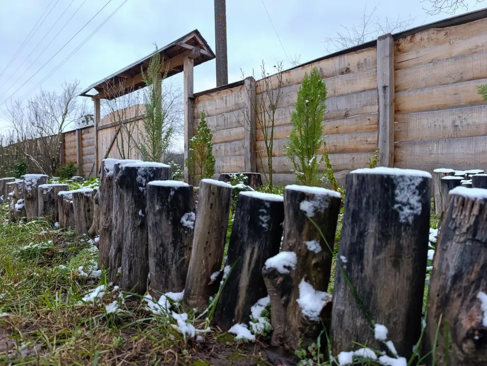 Why Stumps Left in Midtown Mobile Yards Become a Bigger Problem Every Season